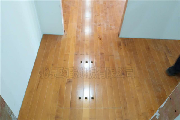 �����Ќ���Ԫ�i�I(y��)�赸ľ�ذ�ɹ�����